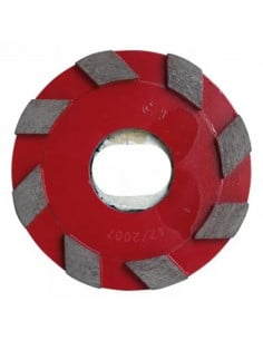 Meule diamantée métaliques aimantée pour disque Planétaire RAIMONDI - 1