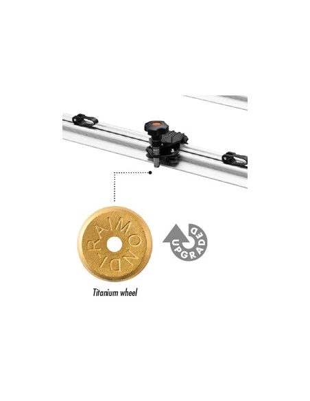 Molette avec axe pour rail Raizor RAIMONDI - 2