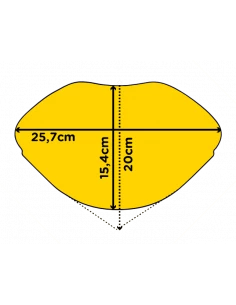 Tablette d'angle de douche forme organique 25,7 x 15,4 cm Lagoon Inox brossé MAT INTER - 1 2