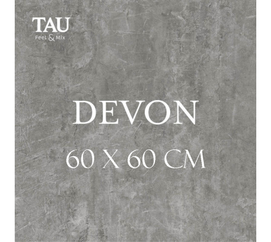 Carrelage Série DEVON 60x60 cm rectifié 1.44 m²/Boite TAU CERAMICA - 1