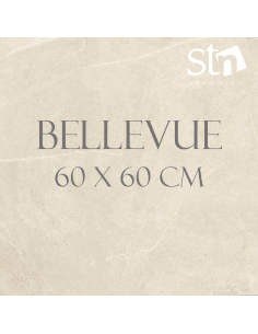 Carrelage série Bellevue 60 x 60 cm Coloris IVORY STN céramica - 1