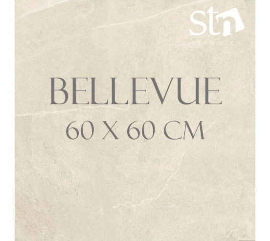 Carrelage série Bellevue 60 x 60 cm Coloris IVORY STN céramica - 1