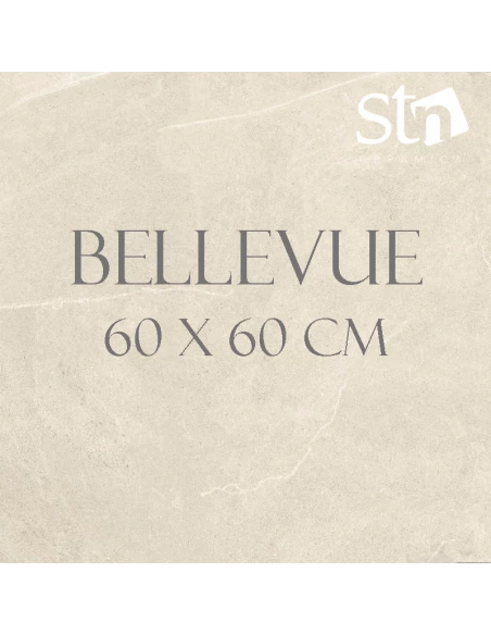 Carrelage série Bellevue 60 x 60 cm Coloris IVORY STN céramica - 1