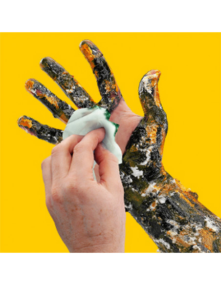 Tube de 80 lingettes MULTI-SURFACE BIG WIPES - 4