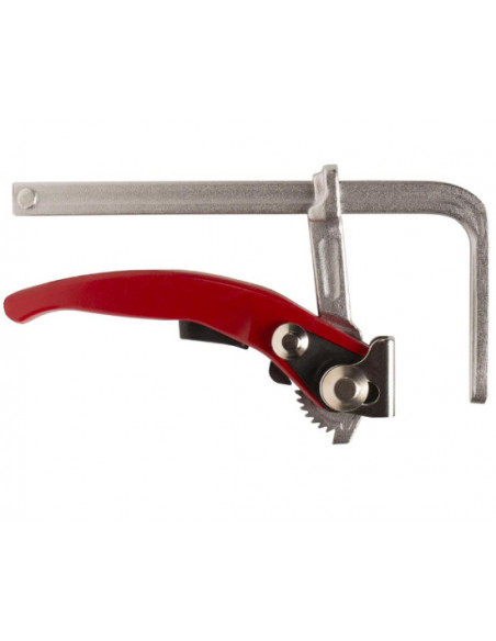 Serre-joint guides pour Rail RUBI - 2