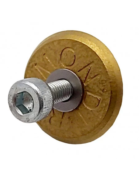 Molette avec axe pour rail Raizor RAIMONDI - 1