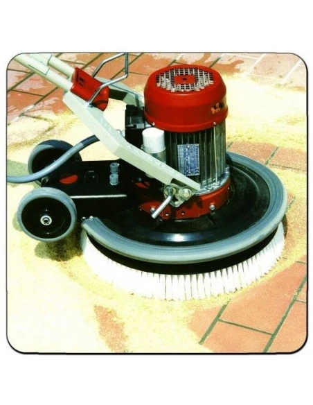 Plateau avec brosse nylon pour Monobrosses RAIMONDI - 2