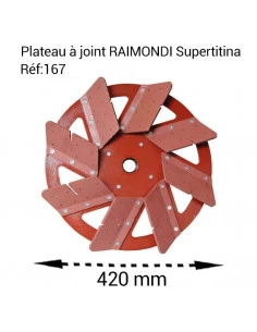 Plateau à joint en caoutchouc anti-abrasif pour Monobrosses RAIMONDI - 1 2
