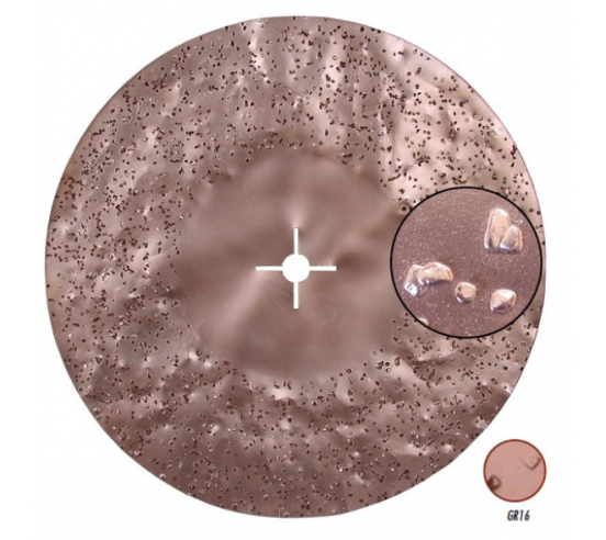 Disque abrasif bi-face au carbure de silicium pour Monobrosses RAIMONDI - 1