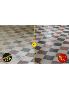 Nettoyant Dégraissant Professionnel PS87 PRO 1L FILA - 1 2