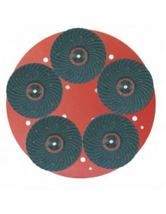 Plateau porte disques avec 5 Disques Abrasifs Au Carbure De Silicium MAXITITINA RAIMONDI - 2