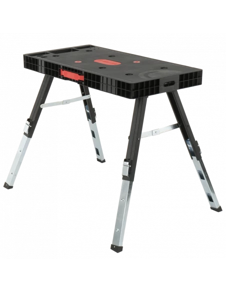 copy of Malaxeur M18 1800W BELLOTA - 4