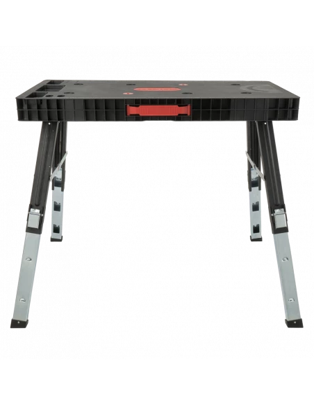 copy of Malaxeur M18 1800W BELLOTA - 3