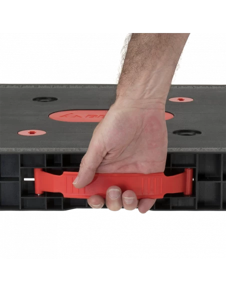 copy of Malaxeur M18 1800W BELLOTA - 8